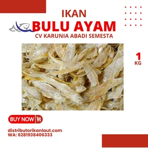 Ikan Kering Bulu Ayam 1 Kg