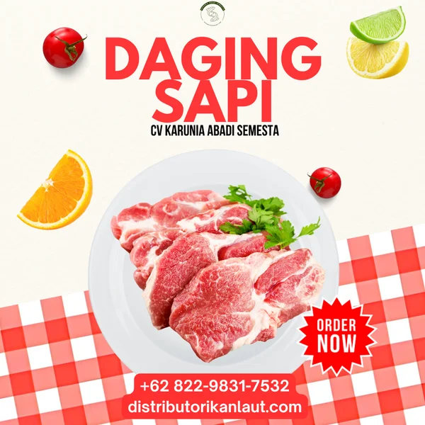Daging Sapi Beef Brisket (Sandung Lamur) – PE/NE (Blok 4 – 6 Kg) 25 KG
