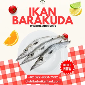 Ikan Barakuda Daging Giling Beku – Blok 25 Kg