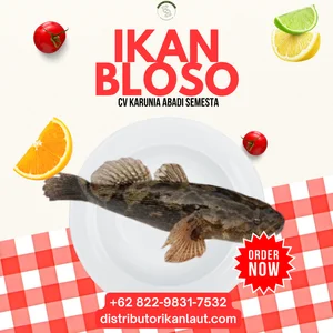 Ikan Asin Bloso Belah Kering – Bal 25 Kg