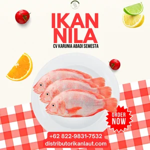 Ikan Nila Daging Giling Beku - Blok 25 Kg