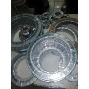 SPIRAL WOUND  GASKET dengan Filter