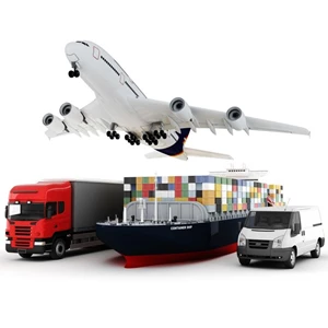 Export import domestik customs clearance By PT Teratai Mas Samudera