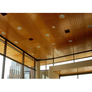 Plafon Gypsum & PVC