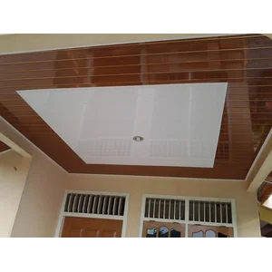 Plafon Gypsum & PVC