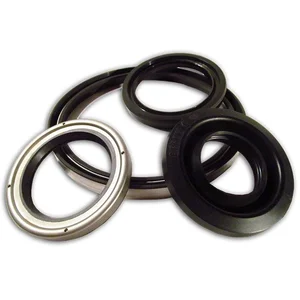 Oil Seal - Radial Lip Seal