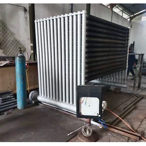 Economizer Boiler Flue Gas Heat Recovery  Design and manufacture