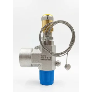 Safety Valve Pengaman Tekanan Stainless Steel 316 Industri 
