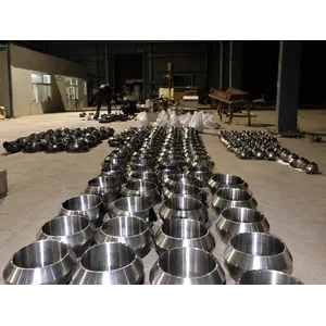 Adaptor Pipa Weldolet Stainless Steel ASTM A182 F304L Class 3000/6000