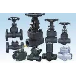 Forged Steel Valve Carbon Steel A105N