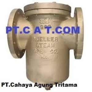 Y STRAINER MUELLER