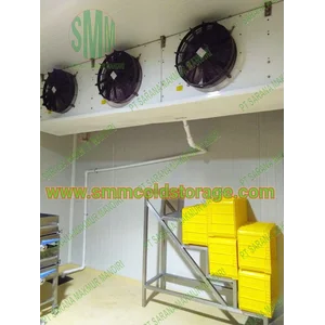 Cold Storage Room Yogurt  Malang
