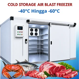 Cold Storage Seafood dan Ikan - Air Blast Freezer