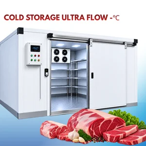 Cold Storage Ruangan Pendingin Daging Ultralow temp -60*C