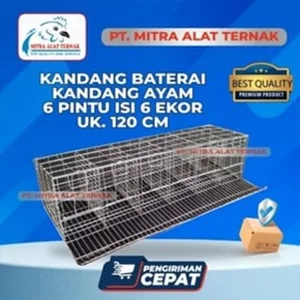 Kandang Ayam Petelur Kandang Baterai 6 Pintu isi 6 Ekor