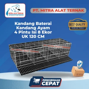 Kandang Kawat Baterai - Kandang Ayam Petelur 4 Pintu isi 8 Ekor