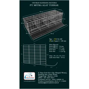Kandang Kawat Baterai - Kandang Ayam Petelur 4 Pintu isi 8 Ekor