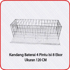 Kandang Kawat Baterai - Kandang Ayam Petelur 4 Pintu isi 8 Ekor
