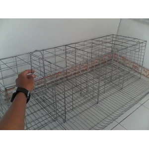 Kandang Kawat Baterai - Kandang Ayam Petelur 4 Pintu isi 8 Ekor