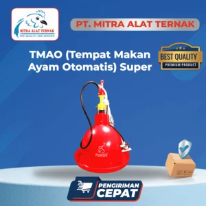 Automatic Chicken Drinking Places Grade Super