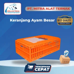 Keranjang Ayam Orange - Keramba Ayam
