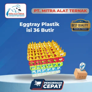 Tempat Telur Plastik Isi 36 Butir