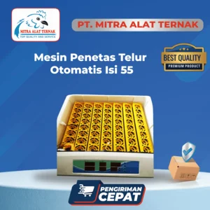 Mesin Penetas Telur Otomatis isi 55