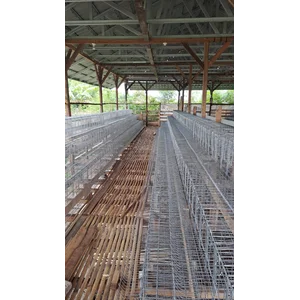 Kandang Kawat Baterai 9 Pintu isi 9 Ekor