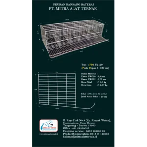Kandang Baterai  Ayam Petelur 6 Pintu isi 6 Ekor