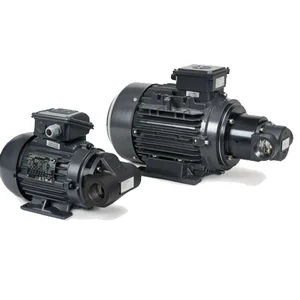 Circulation pumps BFP  for both the filtration and cooling