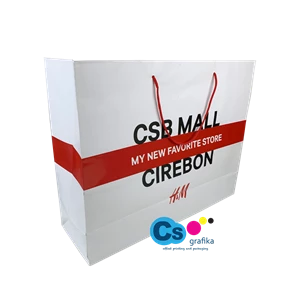 Paper Bag Custom Art Carton 57.5x40x30