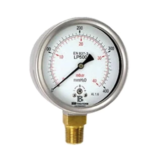 Pressure gauges with capsule element