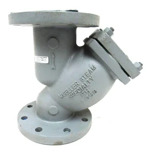 Y - Strainer Mueller WCB 