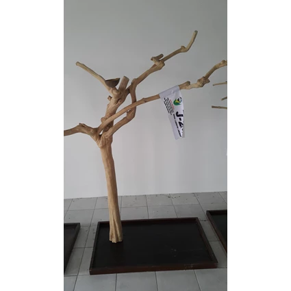 Dari Kerajinan Kayu Javawood Playstand Coffee Tree Bird Perch Multi Branches Parrot Stand Java Wood Branch 3