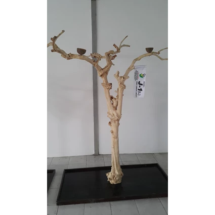 Dari Kerajinan Kayu Javawood Playstand Coffee Tree Bird Perch Multi Branches Parrot Stand Java Wood Branch 0