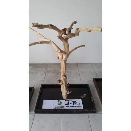 Dari Kerajinan Kayu Javawood Playstand Coffee Tree Bird Perch Multi Branches Parrot Stand Java Wood Branch 5