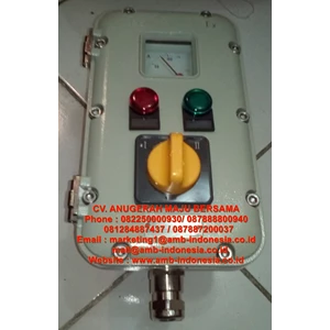Local Control Panel Station Explosion Proof LCS Control Unit HRLM LCZ - LBZ Series