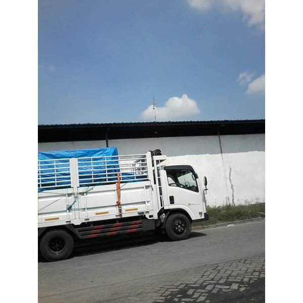 Sewa Colt Diesel Surabaya By PT. Khatulistiwa Mandiri Logistik