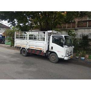 Sewa Truck Colt DIesel CDD di Surabaya By Khatulistiwa Mandiri Logistik