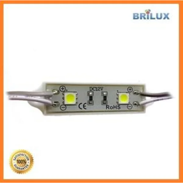Lampu LED Module Sanan 2 Mata Smd 5050 12V Waterproof dan Resin