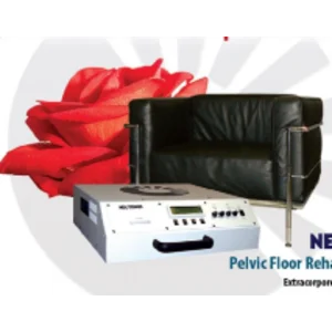 Pelvic Floor Rehabilitatin Therapy