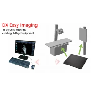 Digital X Ray Imaging Colenta
