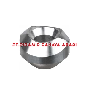 PIRAMID CAHAYA ABADI Stainless Steel Weldolet