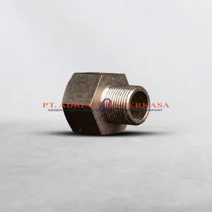 Adapter M20 x M25 AB Raxton Brass Nickle Plate