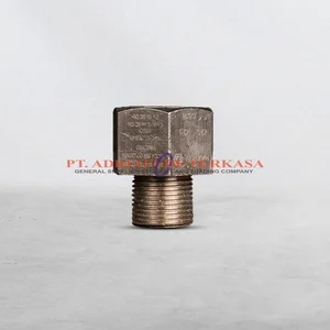 Adapter 3/4" x M25 AB Raxton Brass Nickle Plate