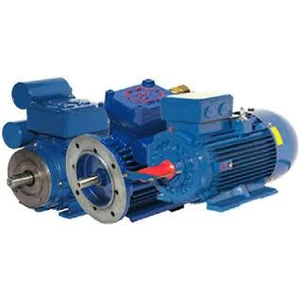 EX ELECTROMOTOR EUROMOTORI