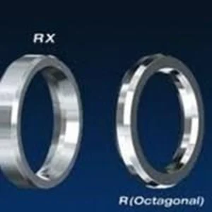  Packing Gasket Ring Joint  Oval