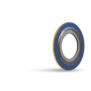 gasket spiral wound graphite stenlis