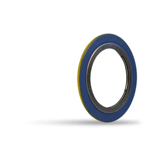 Spiral Wound Gasket Carbon Steel Graphite