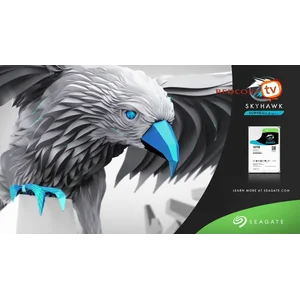 HARDDISK SEAGATE SKYHAWK 6TB